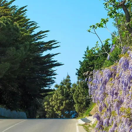 I Coralli Σπίτι διακοπών Portoferraio