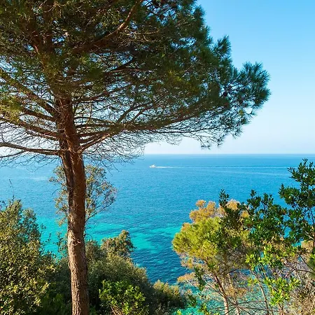 Villa I Coralli Holiday home *