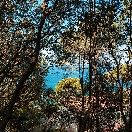 Villa I Coralli Holiday home *